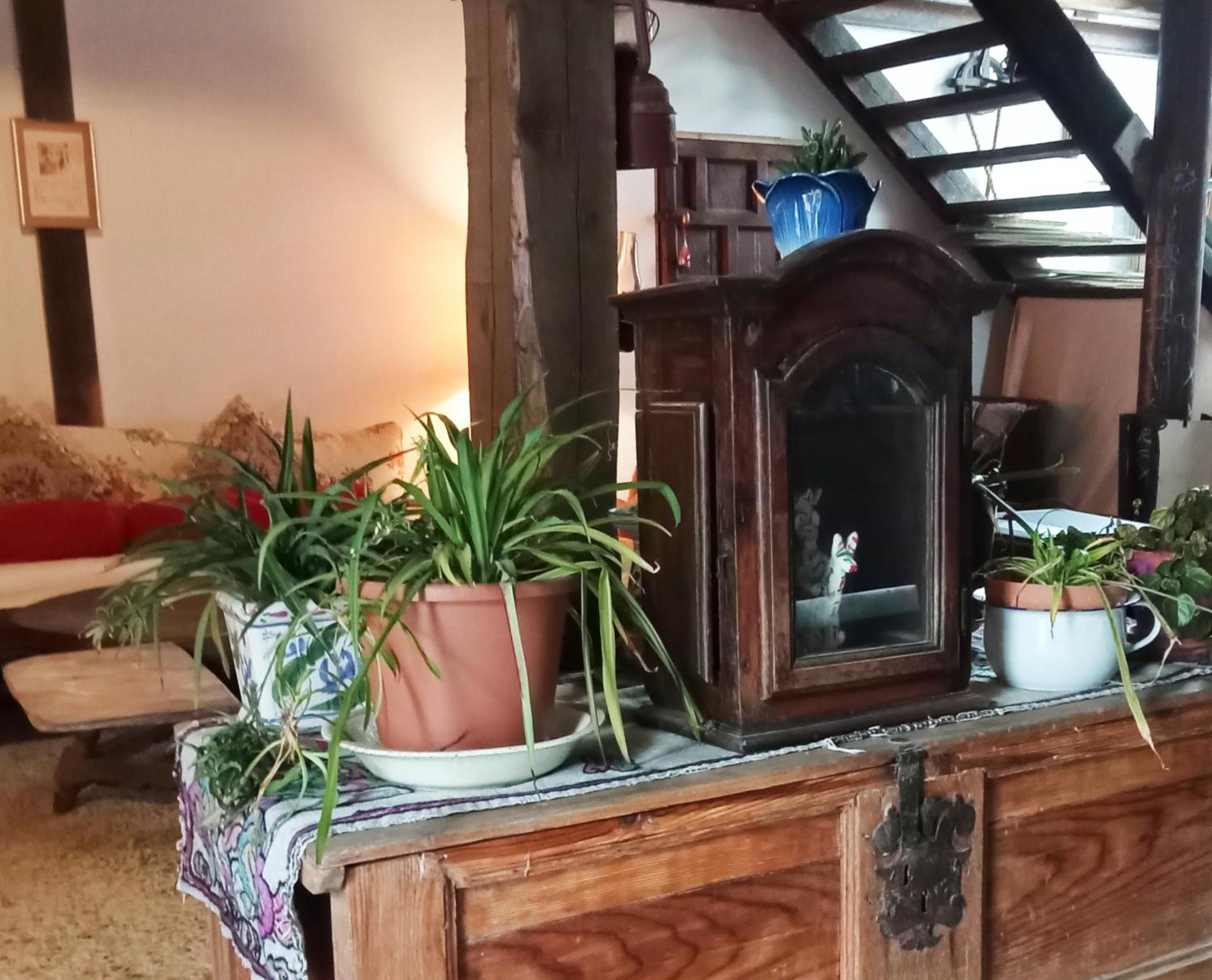 Suite En Cuadra Pajar, Casa Rural Hoz de Jaca Esterno foto
